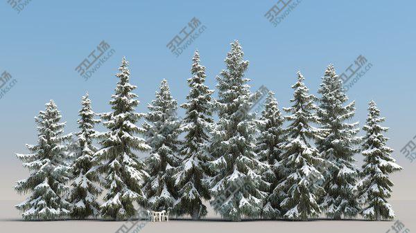 images/goods_img/20210312/10plus10 Brewer Spruce 3D model/3.jpg